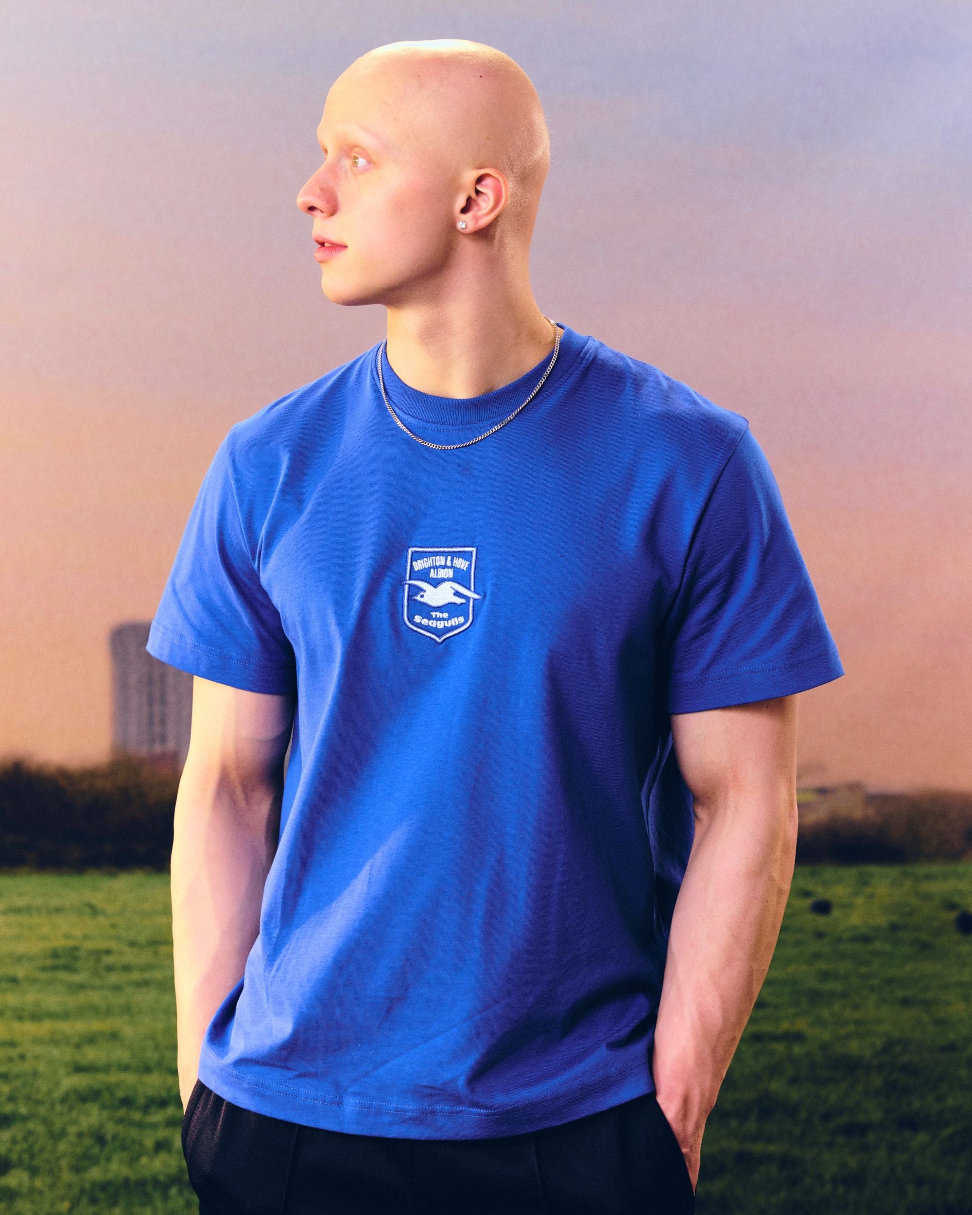 ART OF Brighton & Hove Albion Embroidered Blue Tee | Football T-shirt